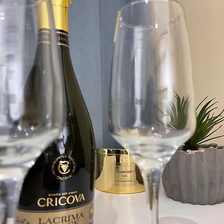 Young Spirit דירה בוקרשט